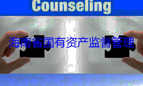 委副书记王有福接受审海南省国有查调查资产监督管理委员会党